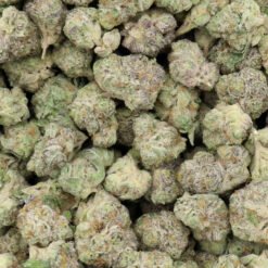 Thin Mint Girl Scout Cookies Strain - AAAA Small Buds - Hybrid Thin Mint Girl Scout Cookies Strain - AAAA Small Buds - Hybrid