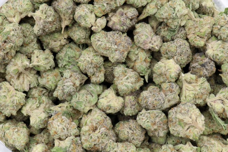 Thin Mint Girl Scout Cookies