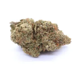 Thin Mint Girl Scout Cookies Strain Flower - Hybrid