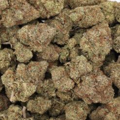 Thin Mint Girl Scout Cookies Strain Flower - Hybrid