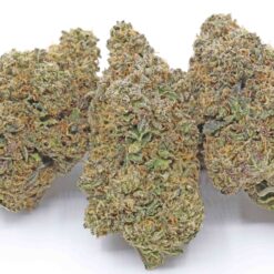 Banana Runtz Strain Flower - Hybrid Banana Runtz Strain Flower - Hybrid