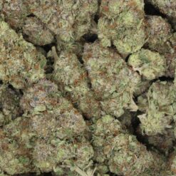 Do-Si-Dos Strain Flower - Indica Dominant Hybrid Do-Si-Dos Strain Flower - Indica Dominant Hybrid