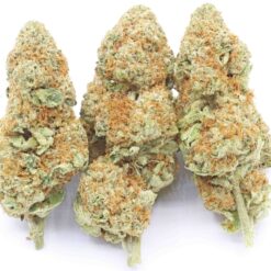 Green Crack Strain Flower - Sativa Dominant Hybrid Green Crack Strain Flower - Sativa Dominant Hybrid
