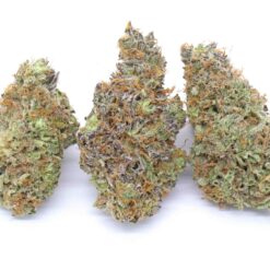 Ice Cream Strain Flower - Indica Dominant Hybrid Ice Cream Strain Flower - Indica Dominant Hybrid