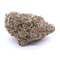 Jet Fuel Gelato Strain Flower - Hybrid Jet Fuel Gelato Strain Flower - Hybrid