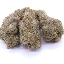 Jet Fuel Gelato Strain Flower - Hybrid Jet Fuel Gelato Strain Flower - Hybrid