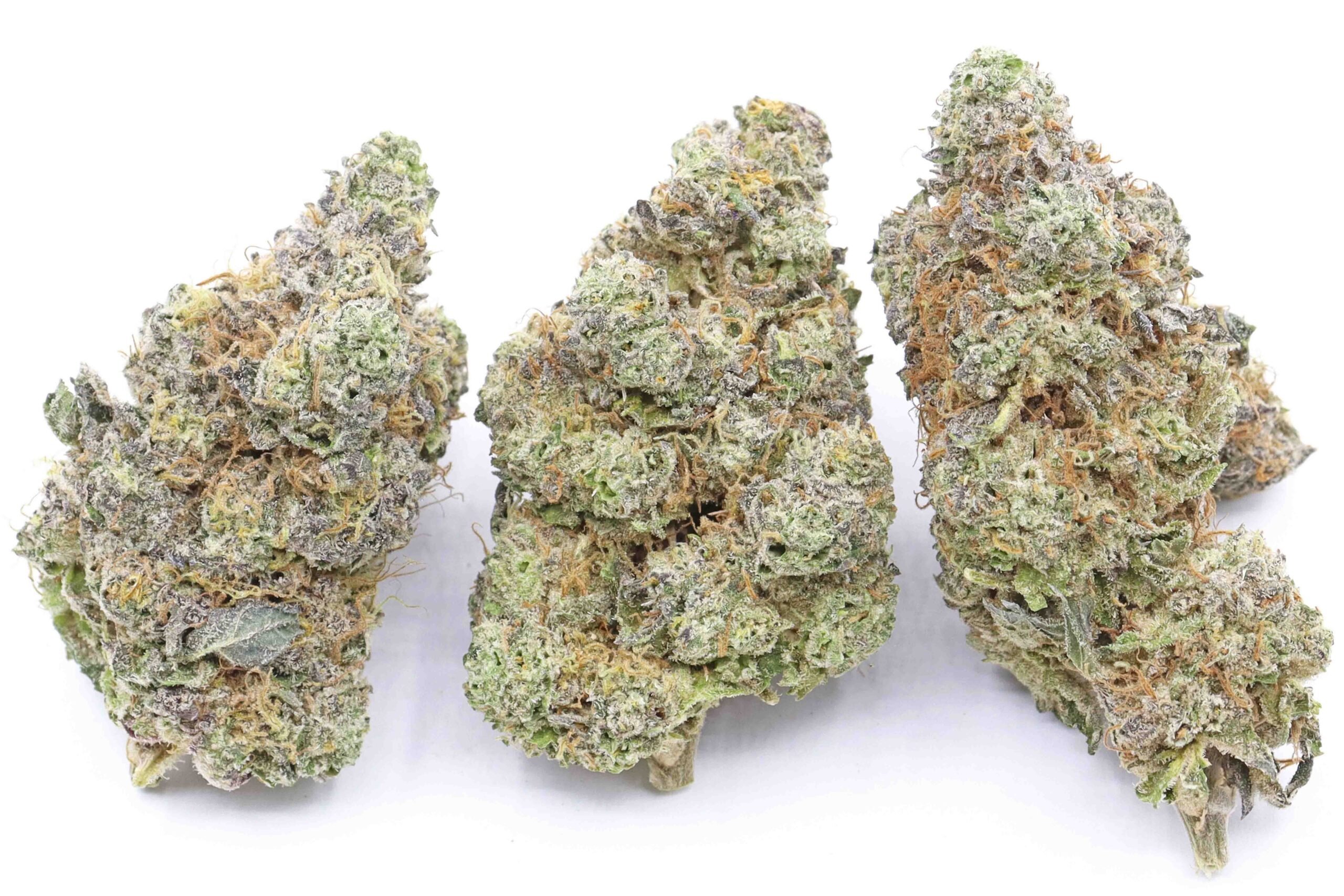 Jet Fuel Gelato Strain Flower | Buy Online Canada | Lowest Price