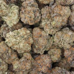 Tom Ford Pink Kush Strain Flower - Indica Dominant Hybrid Tom Ford Pink Kush Strain Flower - Indica Dominant Hybrid