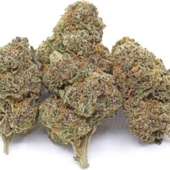 Trunk Funk Strain Flower - Indica Dominant Hybrid Trunk Funk Strain Flower - Indica Dominant Hybrid