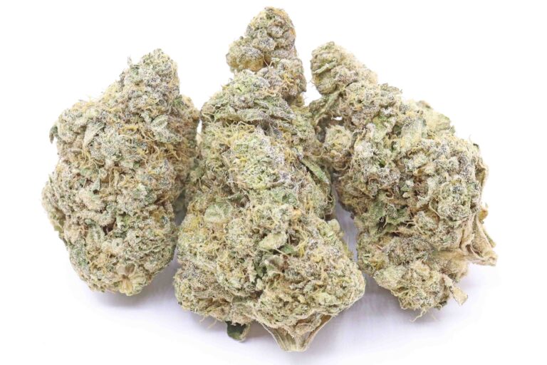 Gelato 41