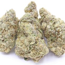 Gelato 41 Strain Flower - Sativa Dominant Hybrid Gelato 41 Strain Flower - Sativa Dominant Hybrid