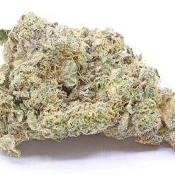 Gelato 41 Strain Flower - Sativa Dominant Hybrid