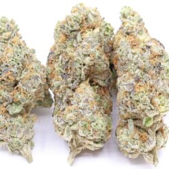 Hi-Octane Strain Flower - Hybrid Hi-Octane Strain Flower - Hybrid