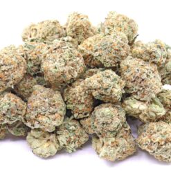 Silver Haze Strain Flower - Sativa Dominant Hybrid