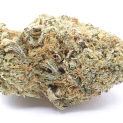 White Cookies Strain Flower - Indica Dominant Hybrid