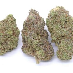Black Truffle Strain Flower - Indica Dominant Hybrid Black Truffle Strain Flower - Indica Dominant Hybrid