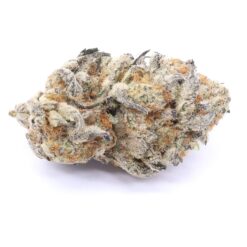 Cream Caramel Strain Flower - Indica Dominant Hybrid Cream Caramel Strain Flower - Indica Dominant Hybrid