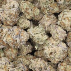 Cream Caramel Strain Flower - Indica Dominant Hybrid Cream Caramel Strain Flower - Indica Dominant Hybrid