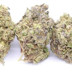 Gas Face Strain Flower - Hybrid Gas Face Strain Flower - Hybrid
