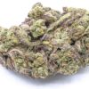 Gas Face Strain Flower - Hybrid Gas Face Strain Flower - Hybrid