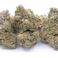 Petrol Pine Strain Flower - Indica Dominant Hybrid Petrol Pine Strain Flower - Indica Dominant Hybrid