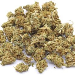 Pink Kush Popcorn Strain - Indica Dominant Hybrid Pink Kush Popcorn Strain - Indica Dominant Hybrid