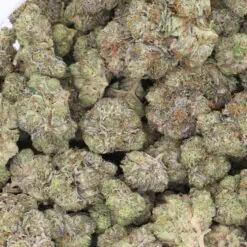 Platinum Runtz Strain Flower - Indica Dominant Hybrid