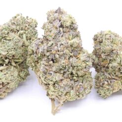 Purple Ice Strain Flower - Sativa Dominant Hybrid Purple Ice Strain Flower - Sativa Dominant Hybrid