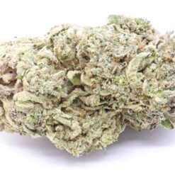 Purple Ice Strain Flower - Sativa Dominant Hybrid Purple Ice Strain Flower - Sativa Dominant Hybrid