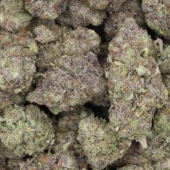 Sour Ape Strain Flower - Indica Dominant Hybrid Sour Ape Strain Flower - Indica Dominant Hybrid