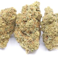 Chiesel Strain Flower - Hybrid Chiesel Strain Flower - Hybrid