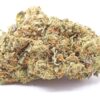 Chiesel Strain Flower - Hybrid Chiesel Strain Flower - Hybrid