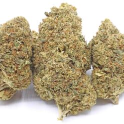 K2 Haze Strain Flower - Indica Dominant Hybrid K2 Haze Strain Flower - Indica Dominant Hybrid