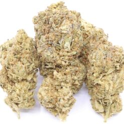 Shadowland Strain Flower - Indica Dominant Hybrid Shadowland Strain Flower - Indica Dominant Hybrid