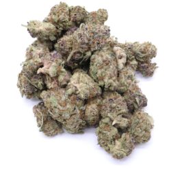 AK Cookies Strain AAA Small Buds - Sativa Dominant Hybrid