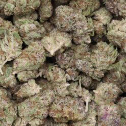 AK Cookies Strain AAA Small Buds - Sativa Dominant Hybrid AK Cookies Strain AAA Small Buds - Sativa Dominant Hybrid