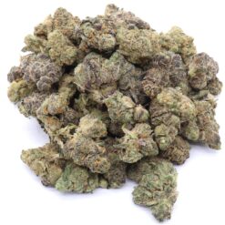 AK Cookies Strain AAA Small Buds - Sativa Dominant Hybrid AK Cookies Strain AAA Small Buds - Sativa Dominant Hybrid