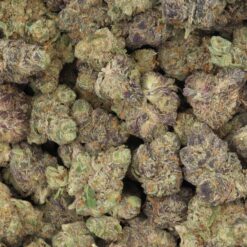 AK Cookies Strain AAA Small Buds - Sativa Dominant Hybrid AK Cookies Strain AAA Small Buds - Sativa Dominant Hybrid