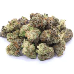 AK Cookies Strain AAA Small Buds - Sativa Dominant Hybrid