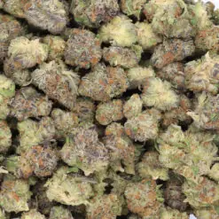 AK Cookies Strain AAA Small Buds - Sativa Dominant Hybrid