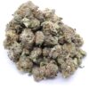 AK Cookies Strain AAA Small Buds - Sativa Dominant Hybrid AK Cookies Strain AAA Small Buds - Sativa Dominant Hybrid