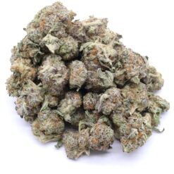 AK Cookies Strain AAA Small Buds - Sativa Dominant Hybrid