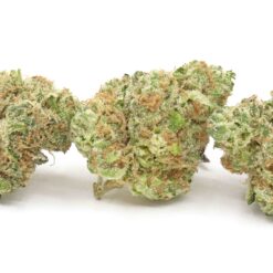 Dirty Taxi Strain Flower - Sativa Dominant Hybrid Dirty Taxi Strain Flower - Sativa Dominant Hybrid