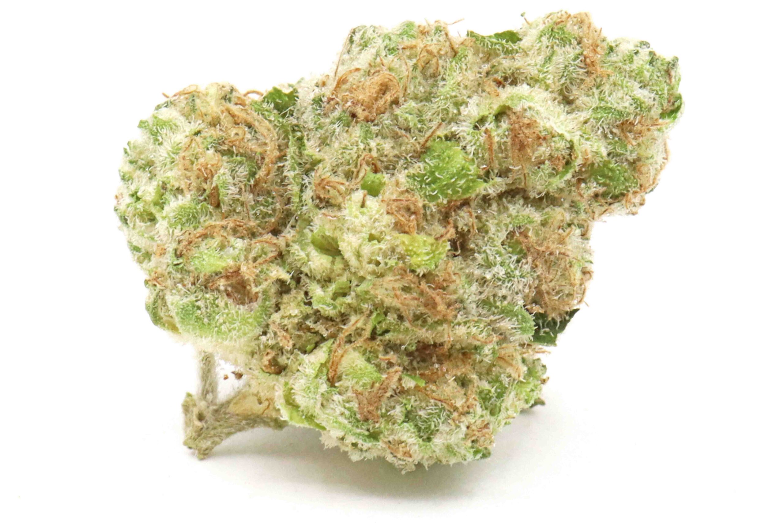 Dirty Taxi Strain Flower - Sativa Dominant Hybrid