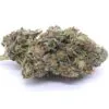 Glitter Bomb Strain Flower - Indica Dominant Hybrid