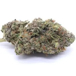 Glitter Bomb Strain Flower - Indica Dominant Hybrid