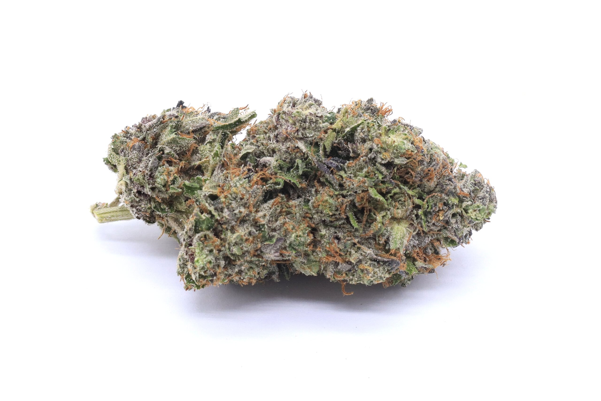 Glitter Bomb Strain Flower - Indica Dominant Hybrid Glitter Bomb Strain Flower - Indica Dominant Hybrid