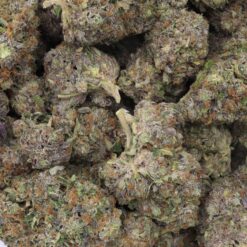 Glitter Bomb Strain Flower - Indica Dominant Hybrid