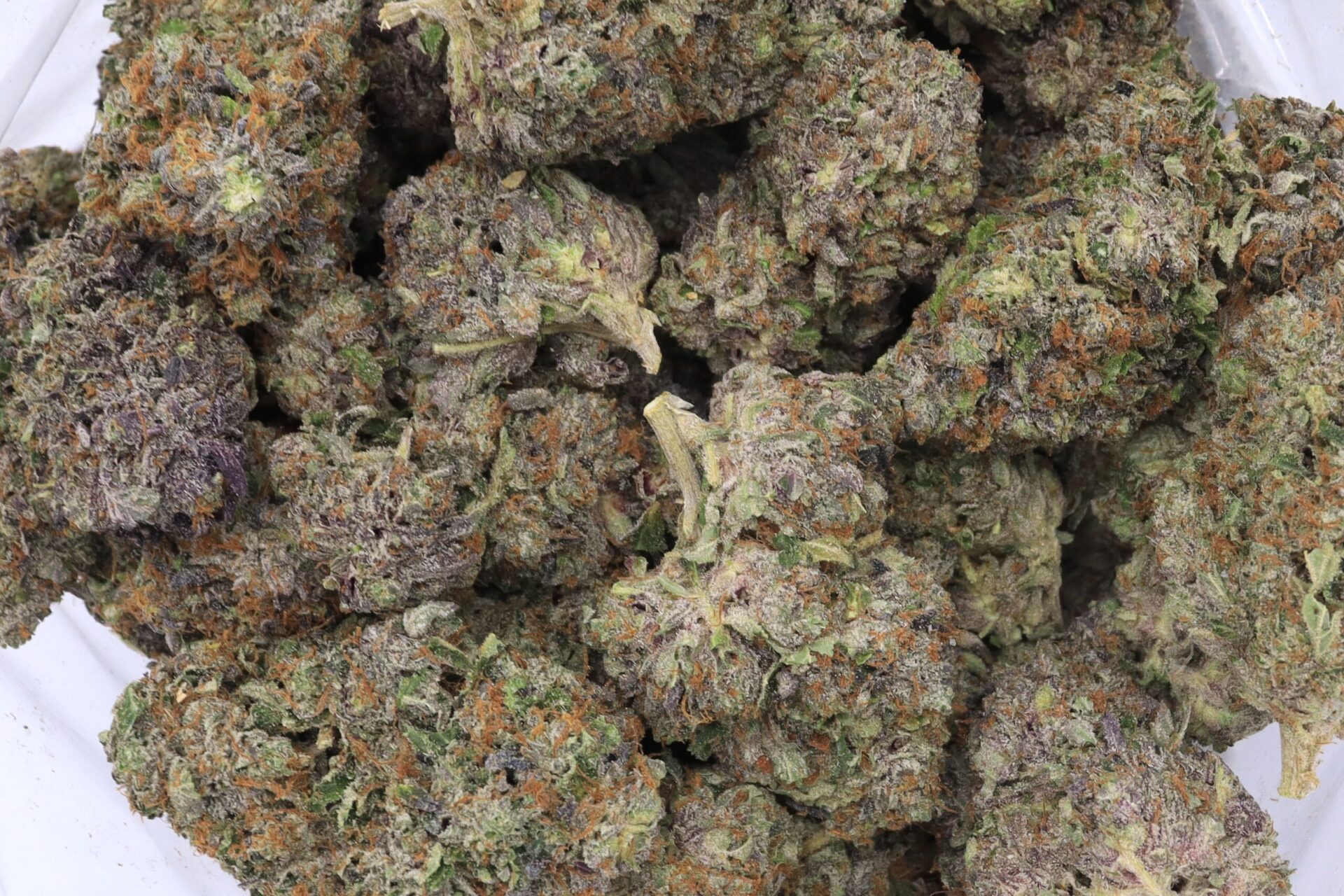 Glitter Bomb Strain Flower - Indica Dominant Hybrid Glitter Bomb Strain Flower - Indica Dominant Hybrid