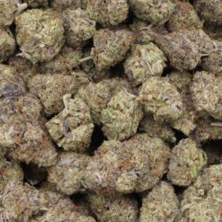 Glitter Bomb Strain Flower - Indica Dominant Hybrid